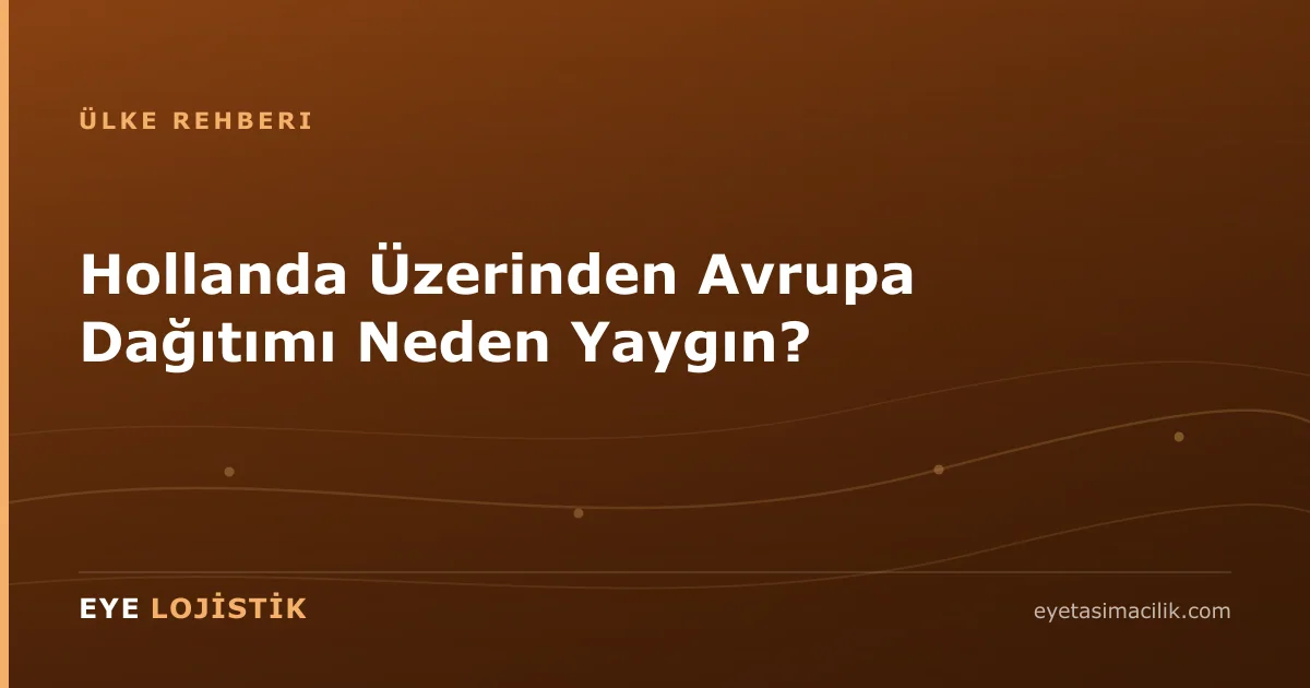 Hollanda Üzerinden Avrupa Dağıtımı Neden Yaygın?