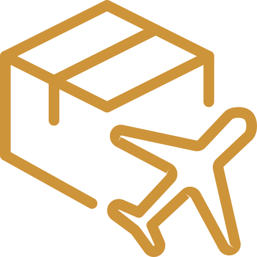 icon1